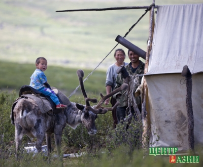 The youngest reindeer herder Mengi, grandson of Roman Baraan and Oksana Duganchi.
